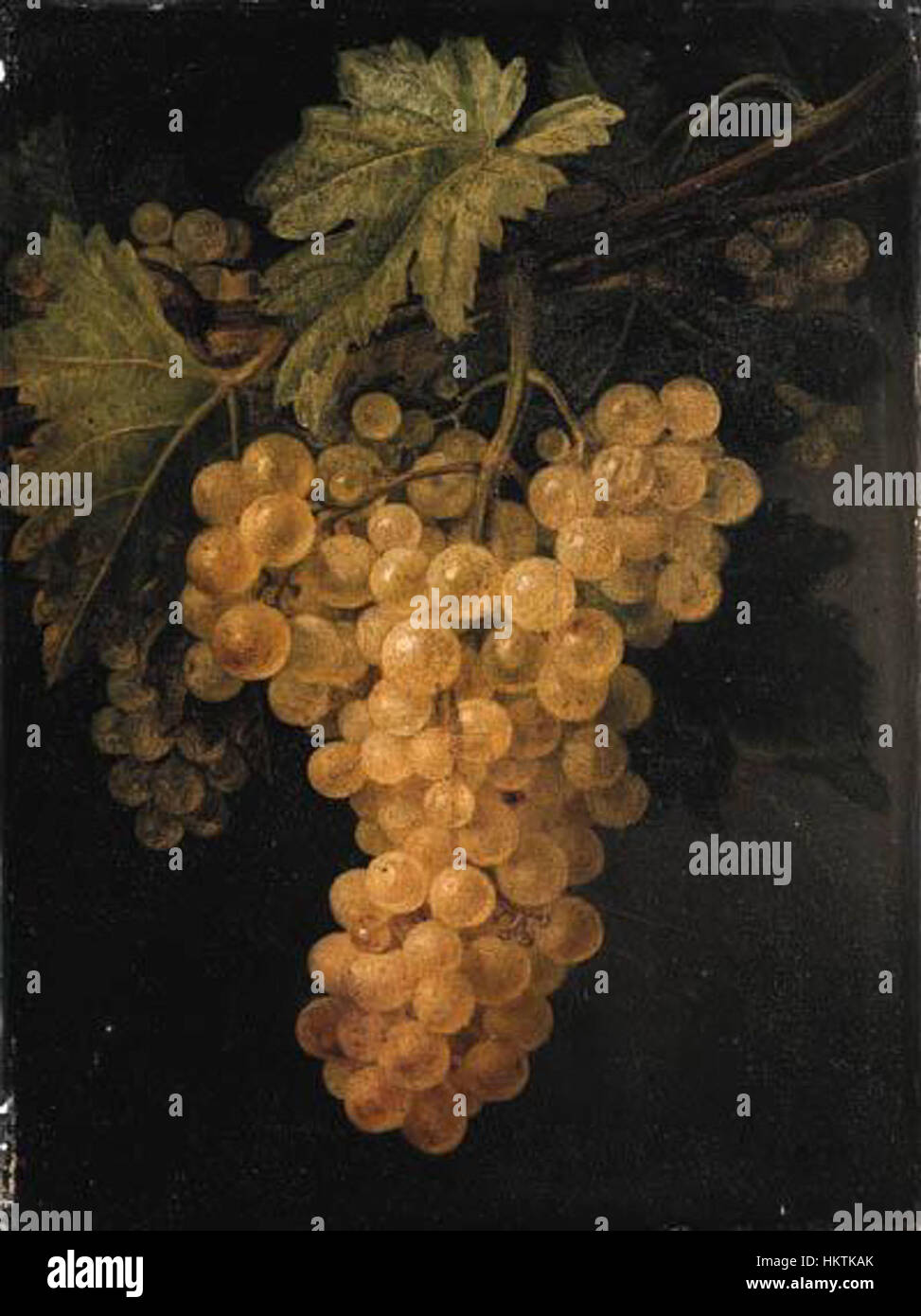 "Un racimo de uvas blancas en la vid" di Francisco Lacoma y Fontanet presenta una rappresentazione dettagliata e vibrante della natura, concentrandosi sulla delicata bellezza dell'uva che cresce su una vite, che racchiude l'attenzione dell'artista ai dettagli nella pittura della natura morta. Foto Stock