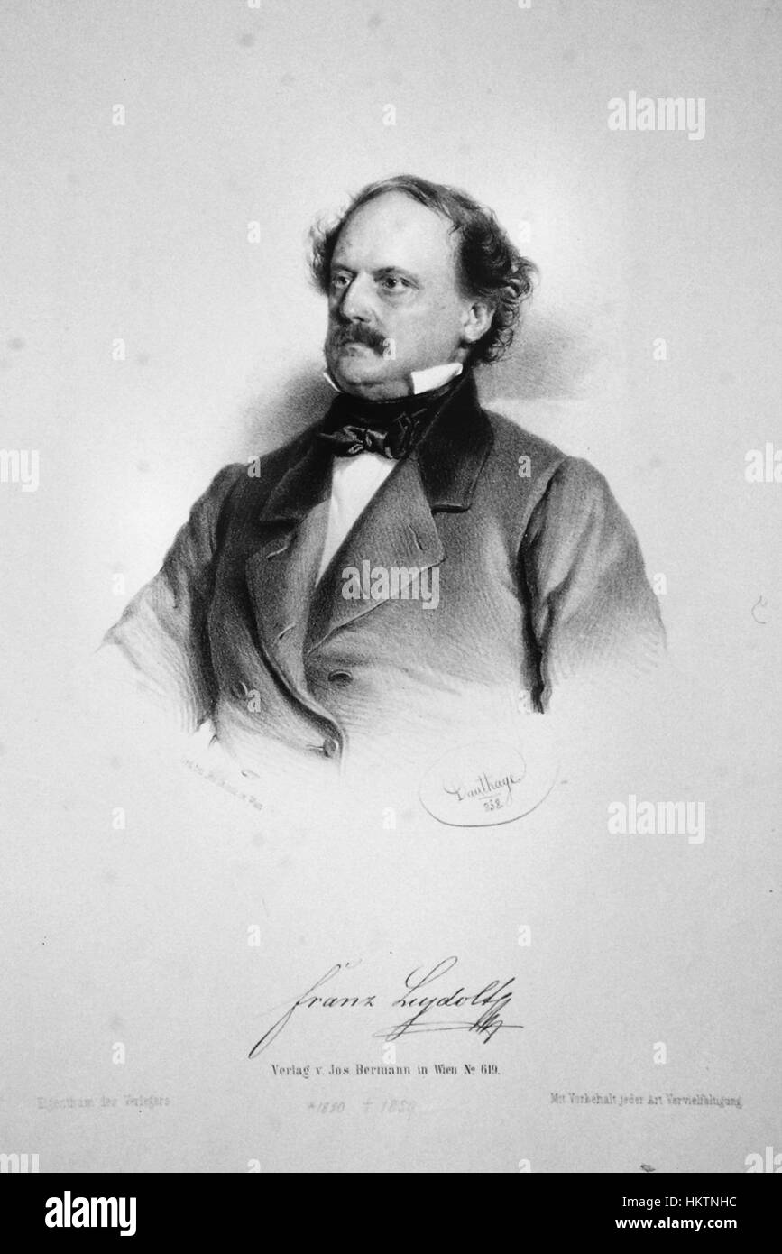 La litografia del 1858 di Franz Leydolt esemplifica la sua abilità nella stampa, offrendo una scena dettagliata resa in linee intricate e ombreggiature. Leydolt era noto per le sue opere paesaggistiche e architettoniche, spesso usando la litografia per catturare l'essenza del mondo naturale. Foto Stock