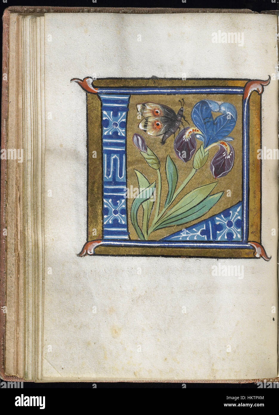 Questa foglia di manoscritto francese, parte di un libro alfabetico, proviene dalla collezione del Walters Art Museum. Presenta una calligrafia e un'illuminazione dettagliate, che mostrano l'arte delle scritture medievali e il design decorativo. Foto Stock