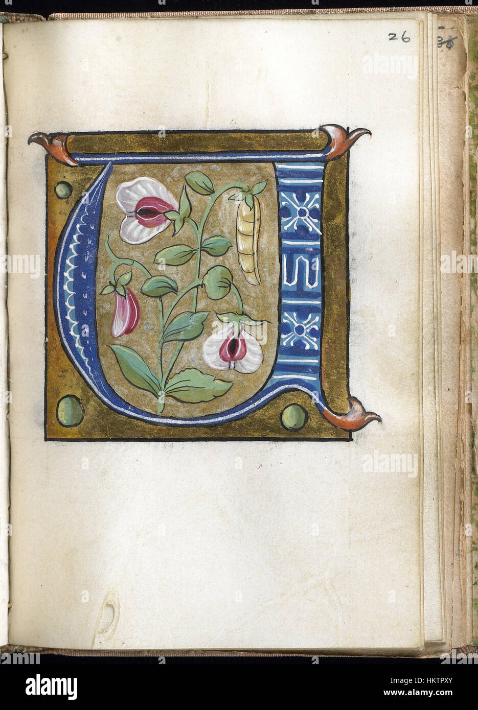 Questa foglia manoscritta miniata, risalente al Rinascimento francese, fa parte di un libro alfabetico. Presenta intricate scritte medievali e colori vivaci tipici dello stile artistico del periodo. Foto Stock