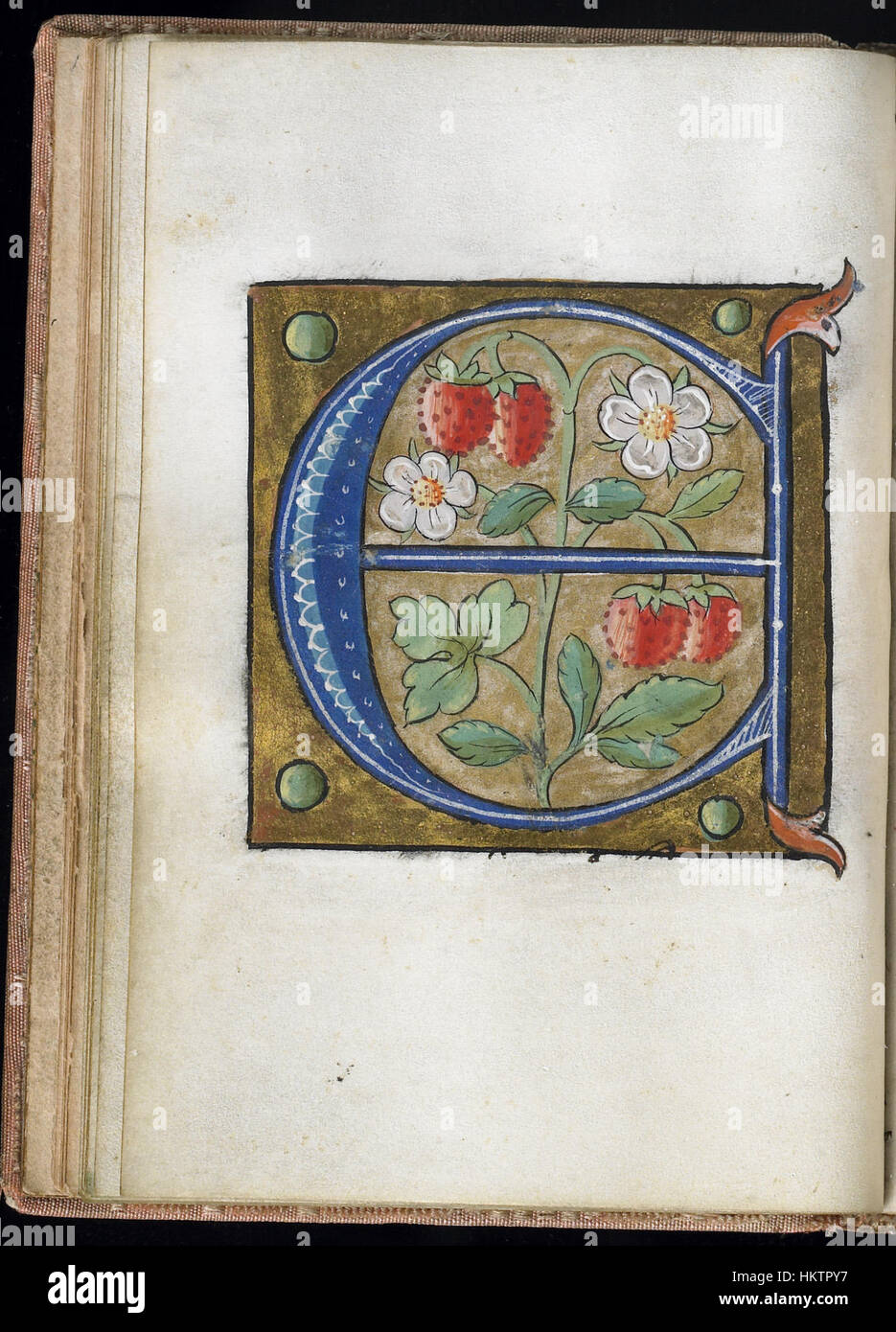 Una pagina di un libro di alfabeto francese, parte della collezione Walters Art Museum. Il manoscritto presenta lettere illuminate, scritte decorative e primi contenuti educativi del periodo medievale. Foto Stock