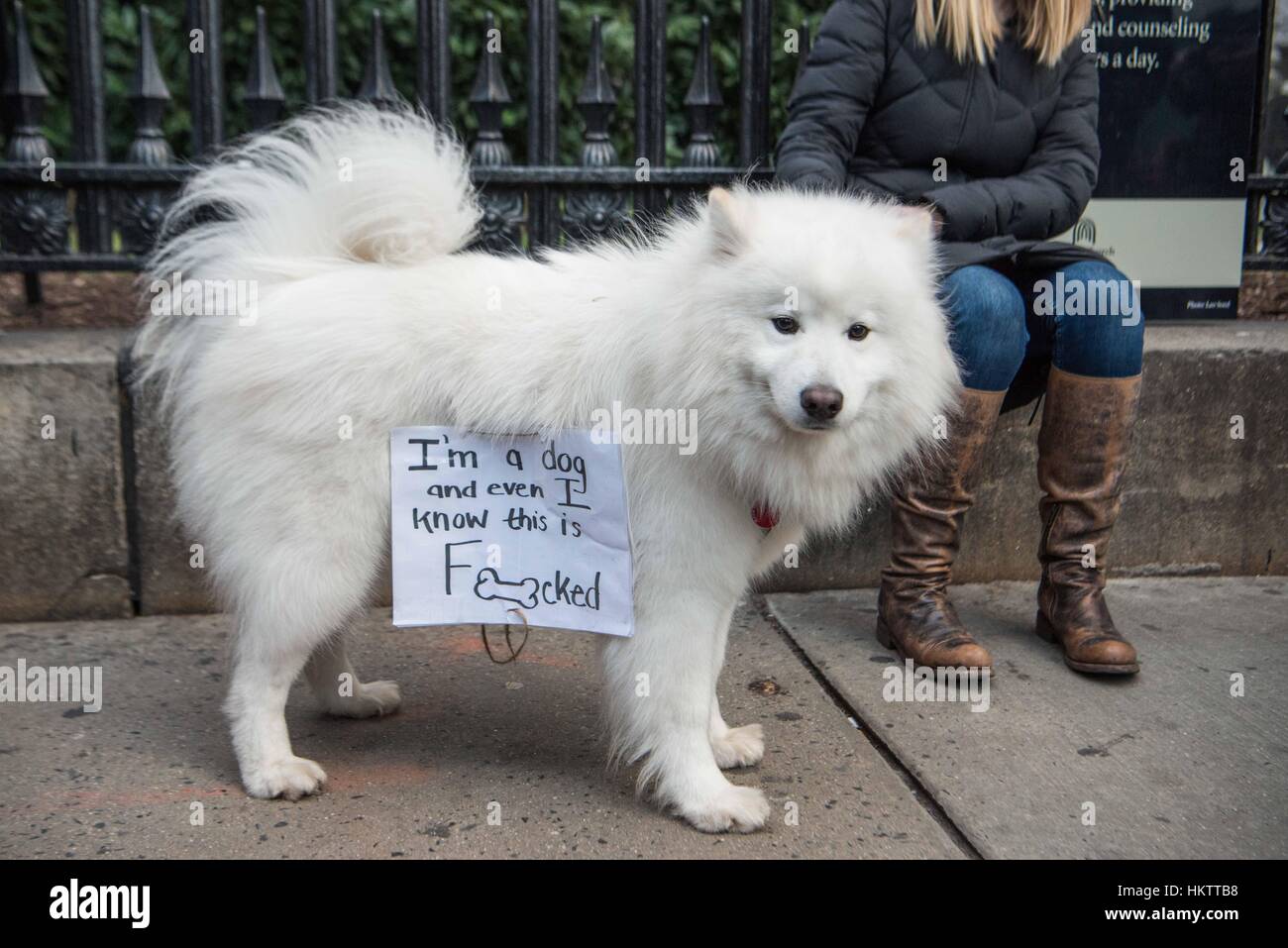 La città di New York, Stati Uniti d'America. 29 gen, 2017. I manifestanti e marche in un rally a sostegno di immigrati e di esprimere il proprio sdegno nella scia del presidente Donald Trump's divieto di immigrati musulmani e per gli Stati Uniti. Il mese di marzo è iniziato con un rally in Battery Park, vicino alla Statua della Libertà e hanno marciato uptown con migliaia di persone. Credito: Brigette Supernova/Alamy Live News Foto Stock