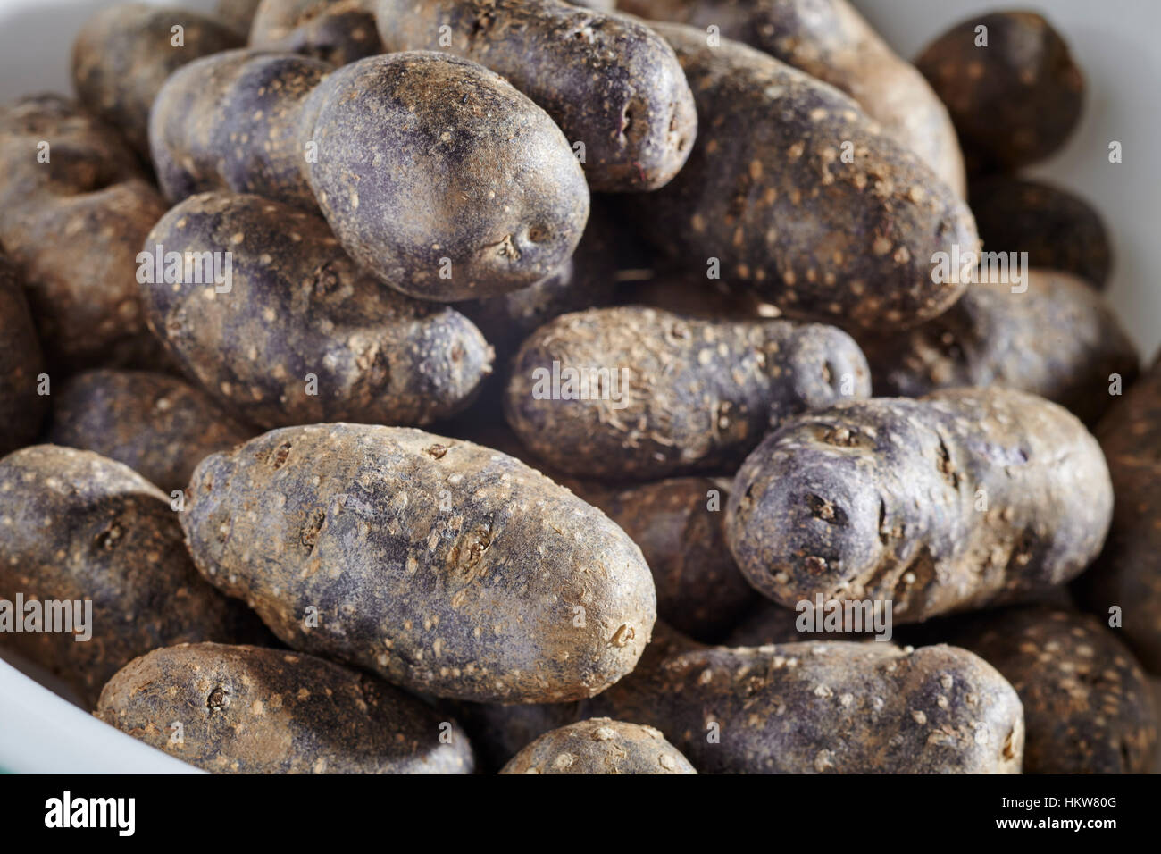 Materie baby puartrple patate Foto Stock