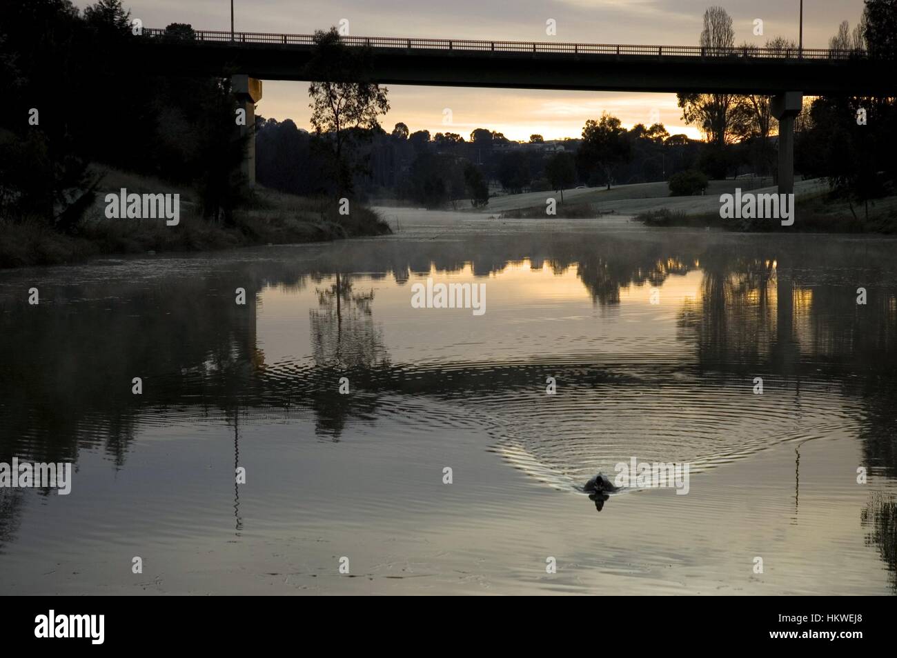 Yass fiume su inverni mattina. Foto Stock