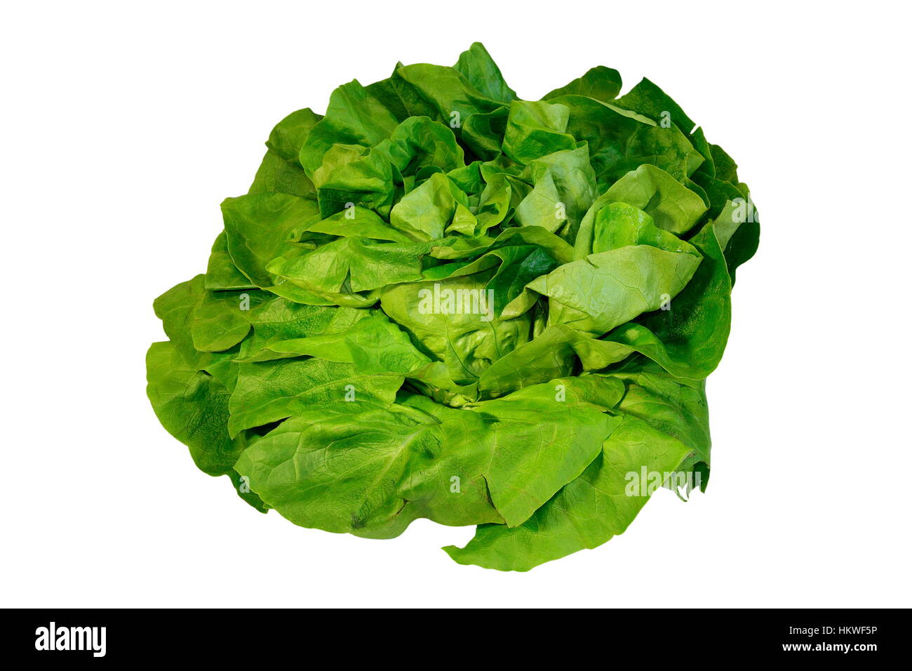 Fresca insalata verde isolato su sfondo bianco Foto Stock