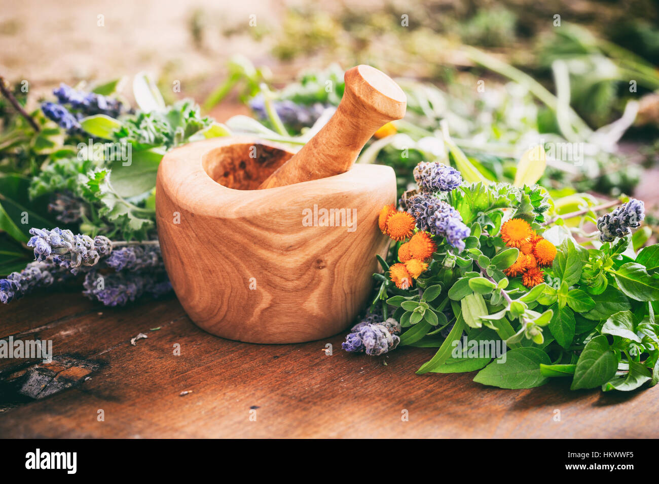 Varietà di erbe fresche e di mortaio su sfondo di legno Foto Stock Varietà di erbe fresche e di mortaio su sfondo di legno Foto Stock