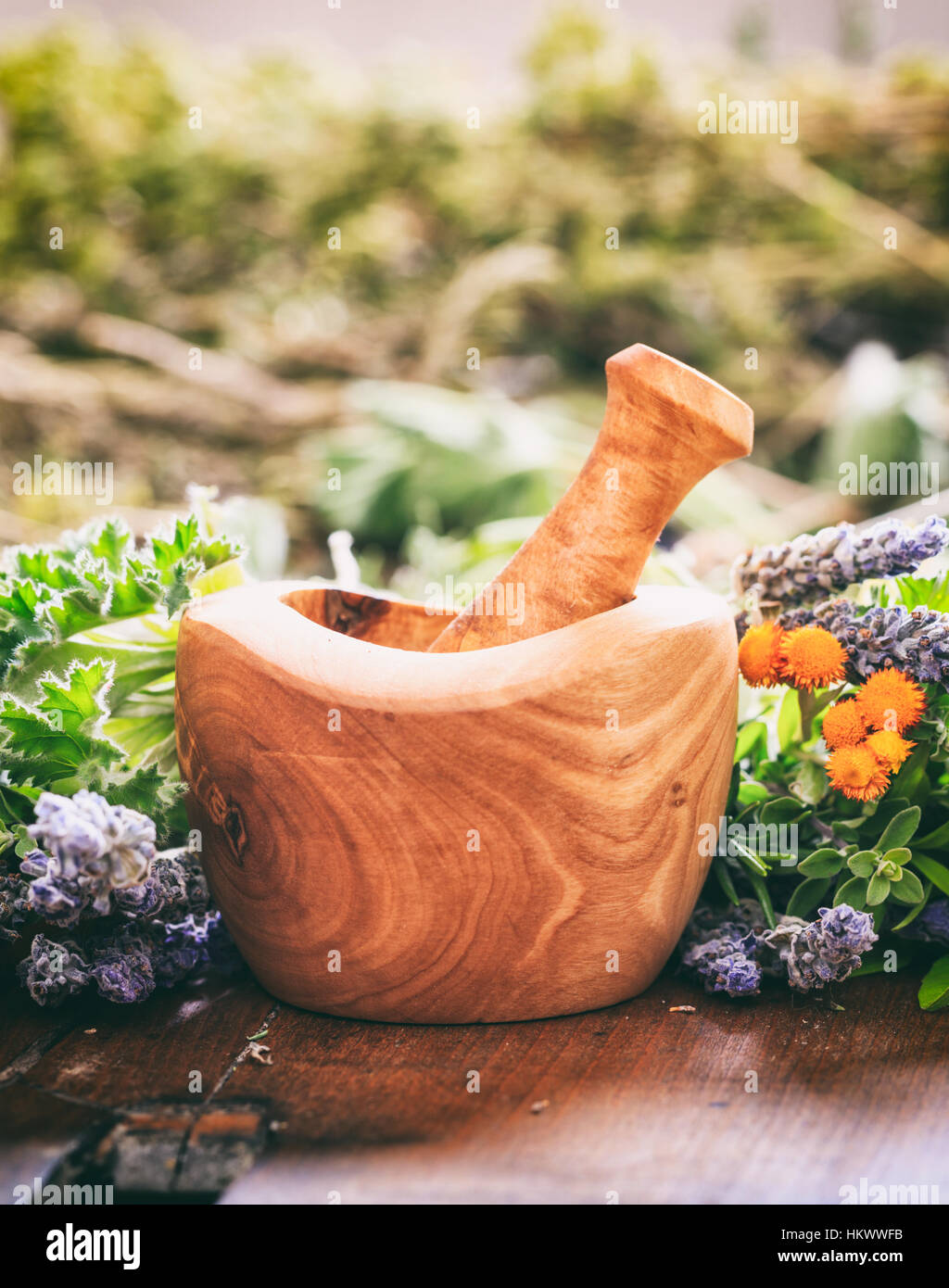Varietà di erbe fresche e di mortaio su sfondo di legno Foto Stock Varietà di erbe fresche e di mortaio su sfondo di legno Foto Stock
