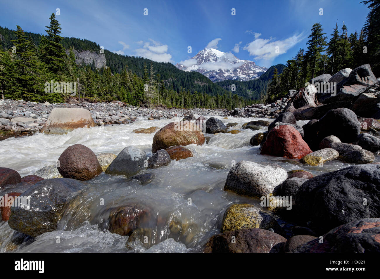 Mount Rainier e il fiume Nisqually, Paradise, il Parco Nazionale del Monte Rainier, Washington Foto Stock