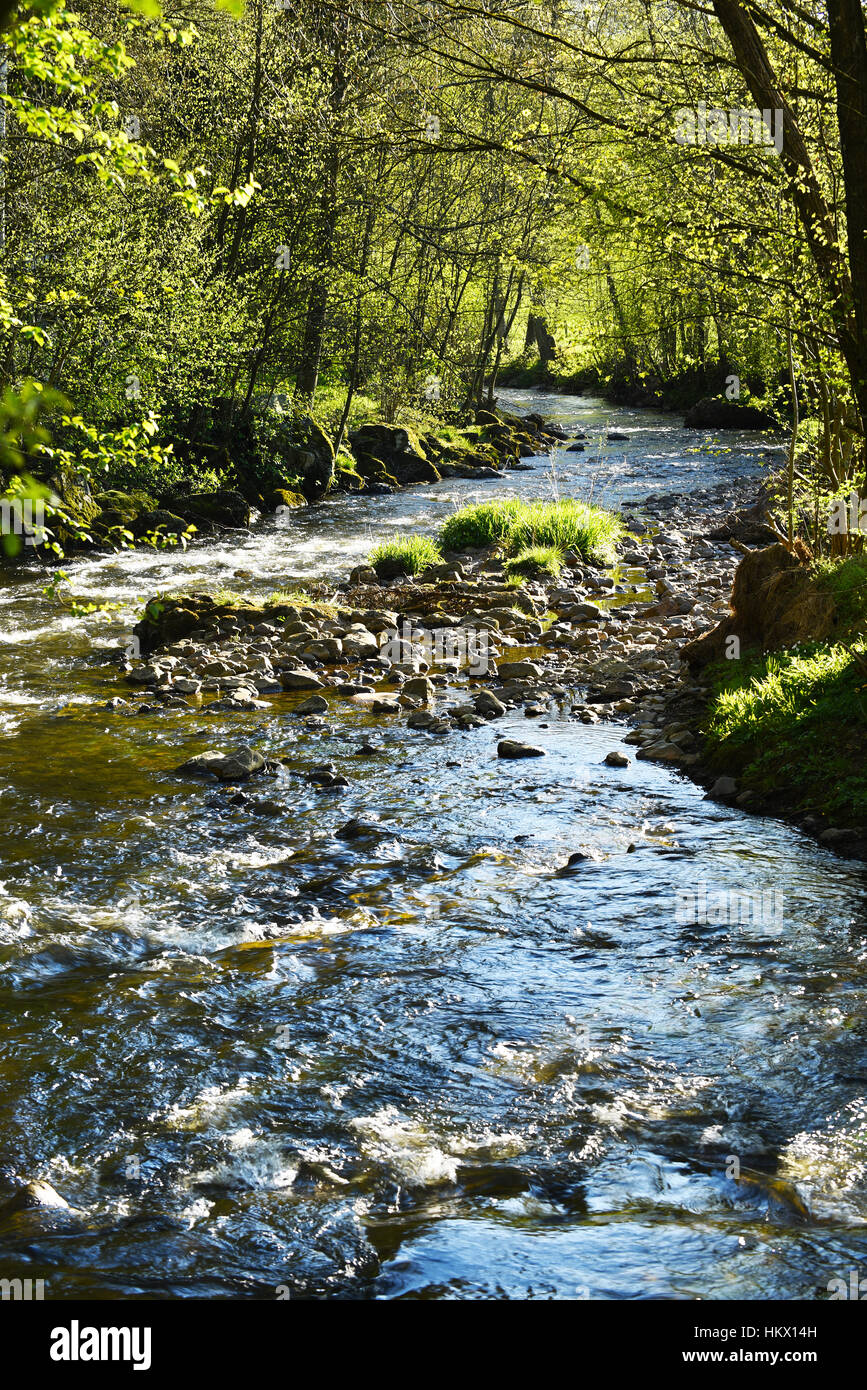 Eau Rouge, una chiara creek nelle Ardenne belghe Foto Stock
