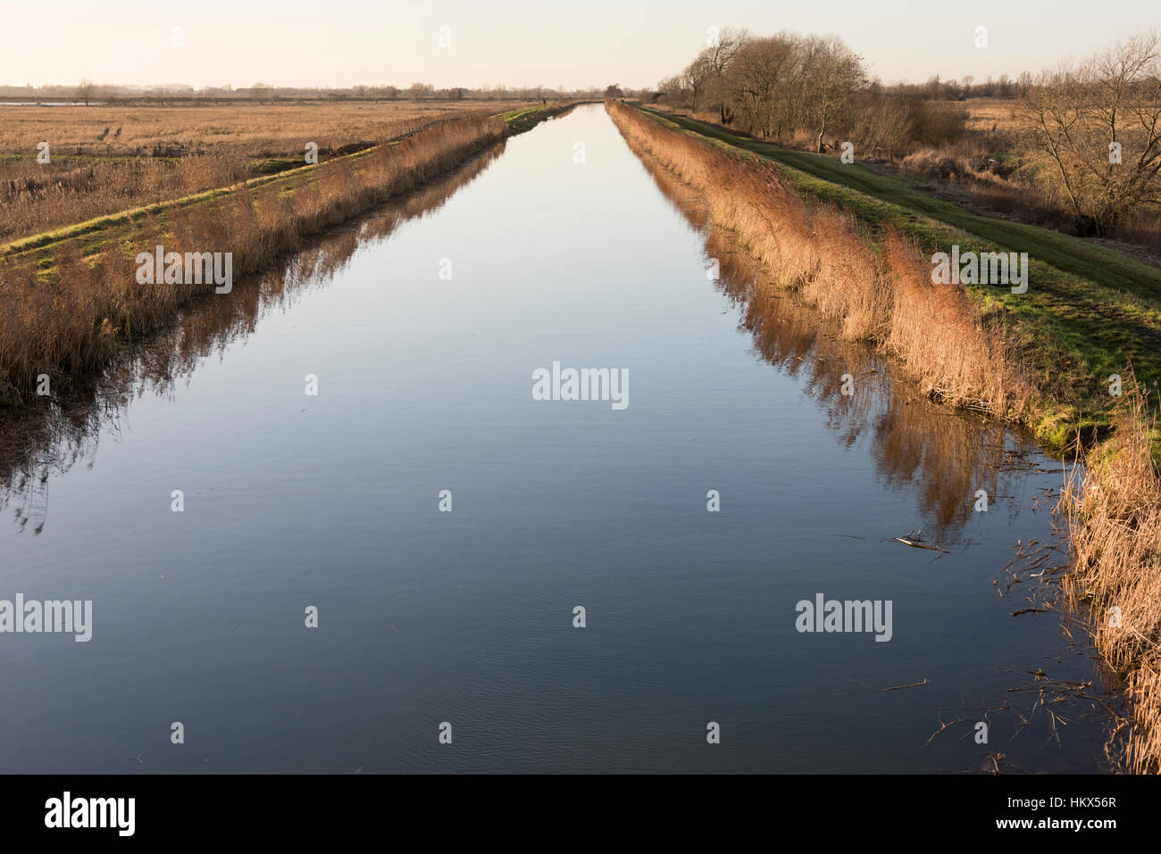 Il Commissario di scarico del canale di drenaggio e il fiume a Wicken Fen Cambridgeshire Ely Regno Unito Foto Stock