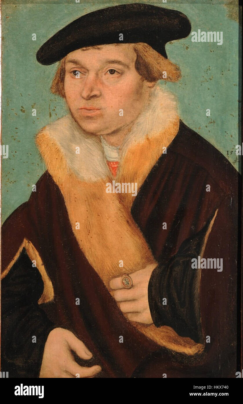 Lucas Cranach d.J. - Bildnis eines bartlosen jungen Mannes, 1533 (Strasburgo) Foto Stock