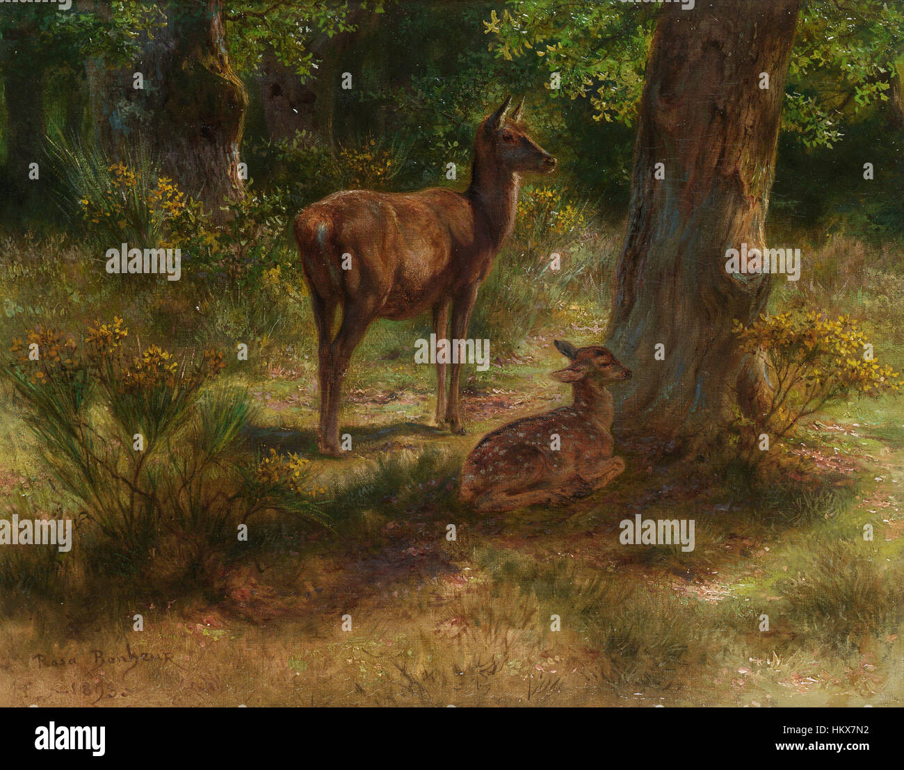 Les cerfs et les fauves dans un bois (cervo e bestie selvatiche in un bosco) di Rosa Bonheur, nota per i suoi studi sugli animali. Questo dipinto raffigura la fauna selvatica in un ambiente naturale, mostrando l'eccezionale abilità di Bonheur nel catturare gli animali in movimento. Foto Stock