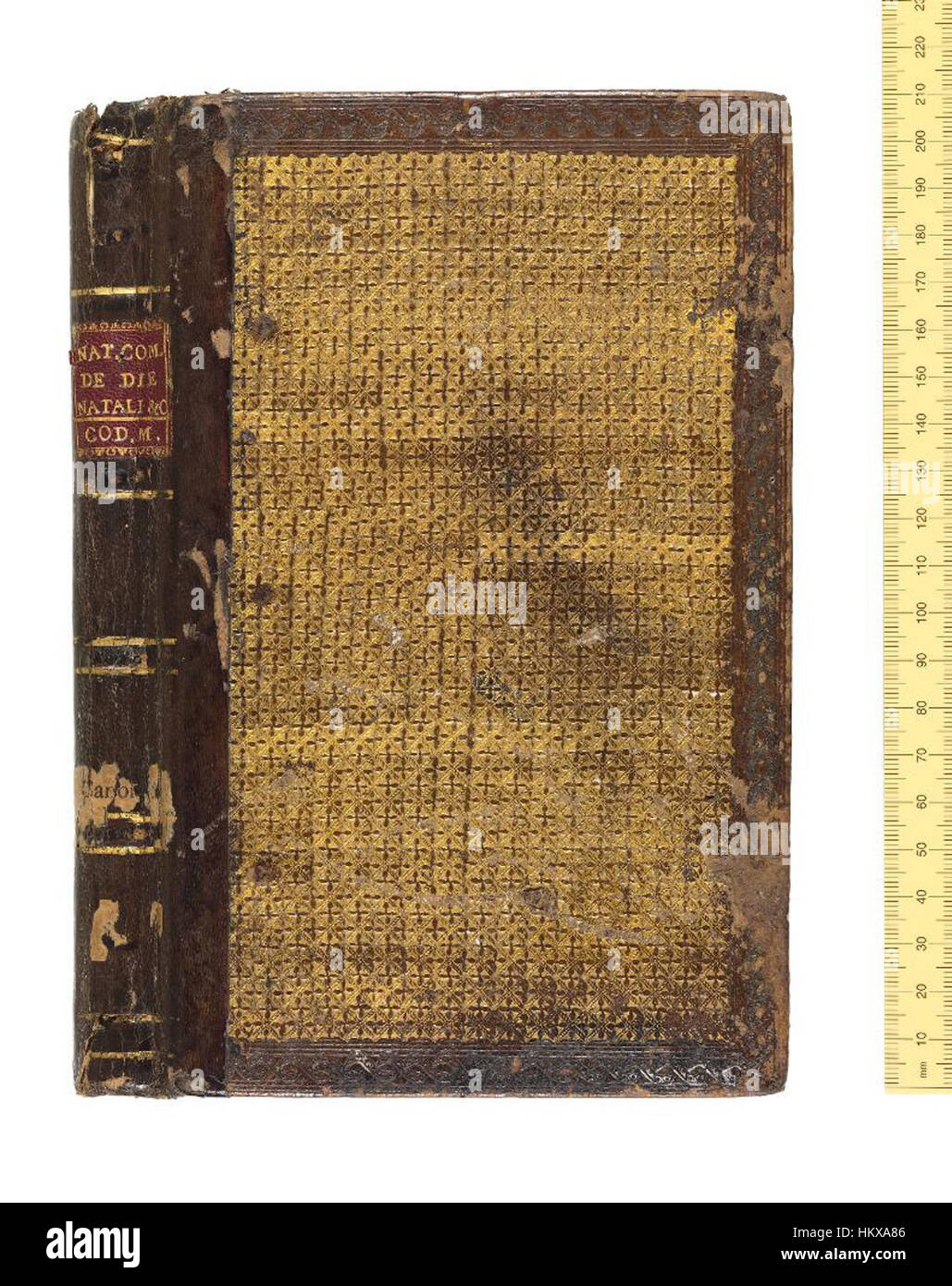 Questa opera d'arte mostra una rappresentazione storica delle biblioteche Bodleiane, parte dell'Università di Oxford. Il dipinto sottolinea la bellezza architettonica e il significato delle biblioteche, una delle più antiche e rinomate al mondo. Foto Stock