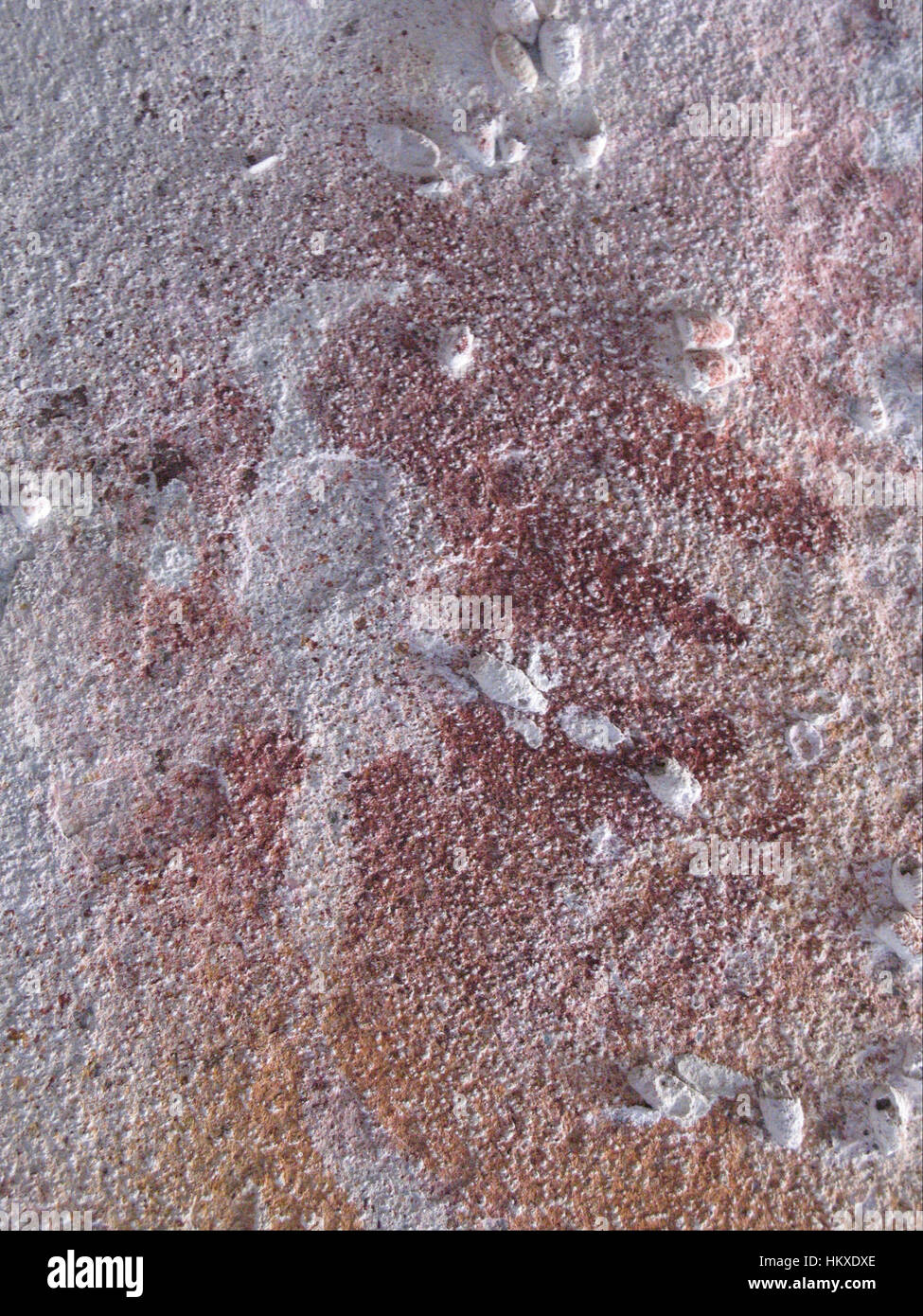 Bird stencil 2 - Google Art Project Foto Stock