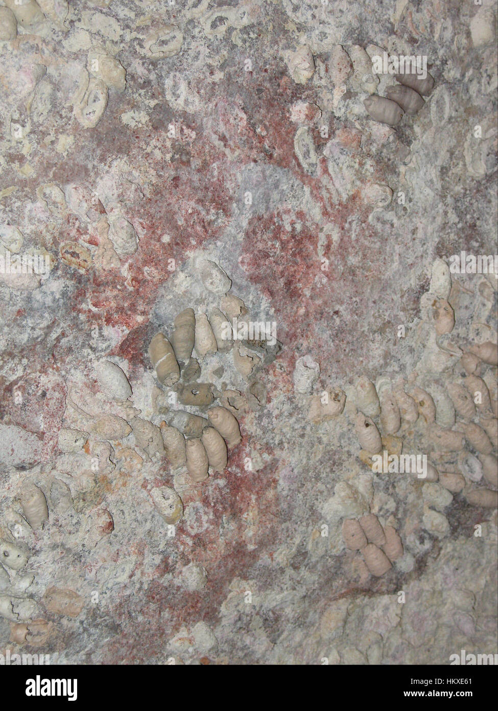 Questo disegno di stencil per uccelli fa parte di una collezione più ampia ospitata da Google Art Project. Il design dello stencil offre una rappresentazione minimalista e moderna degli uccelli, che riflette l'uso dello spazio negativo dell'artista e delle forme semplificate nella cattura della natura. Foto Stock