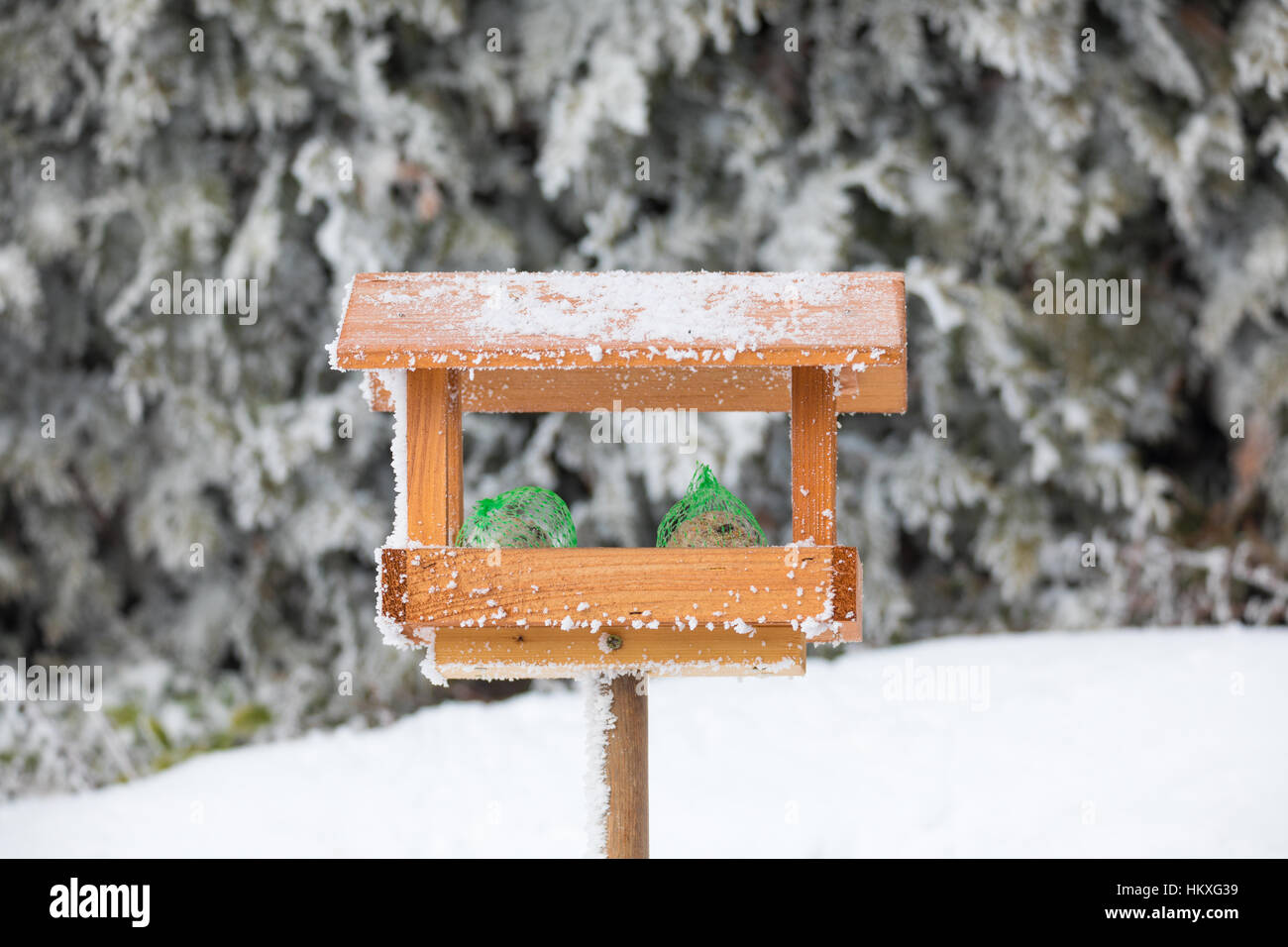 In casa legno Bird Feeder, birdhouse installato sul giardino invernale nella gelida giornata nevosa Foto Stock