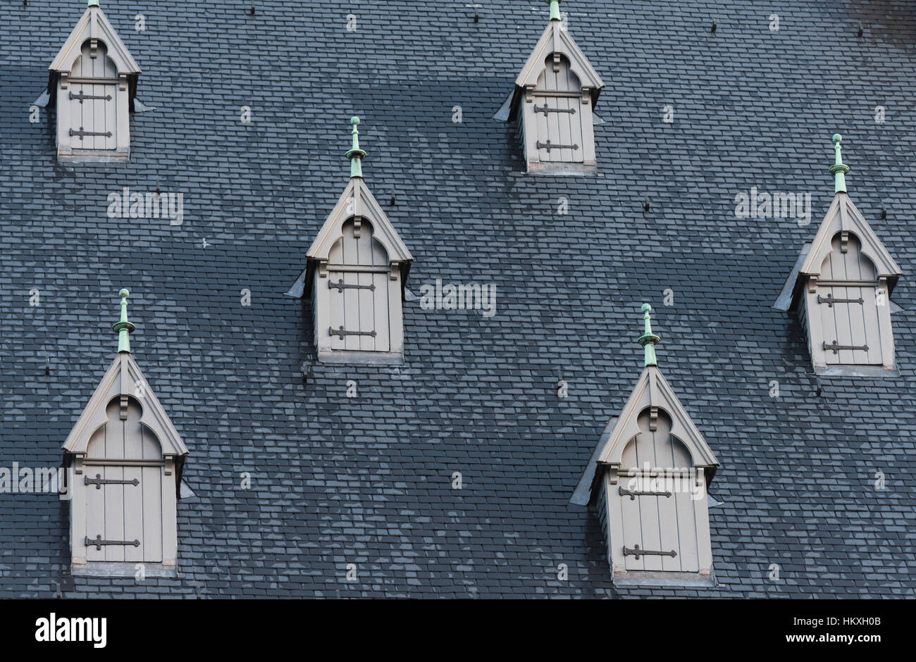 Finestre da tetto Municipio Leuven Belgio Foto Stock