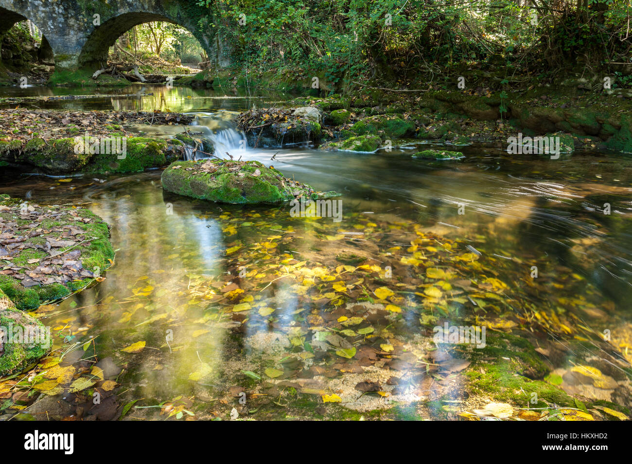 Foglie di autunno in un flusso con un ponte Foto Stock