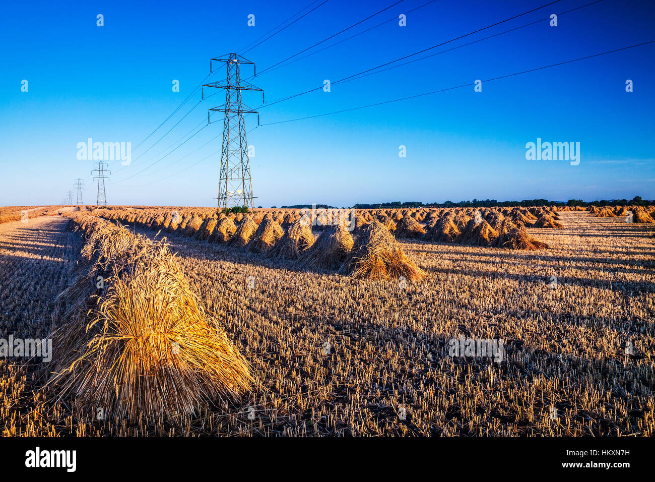 Stooks tradizionale giustapposto contro le moderne torri di elettricità in un campo nel Wiltshire, Regno Unito. Foto Stock