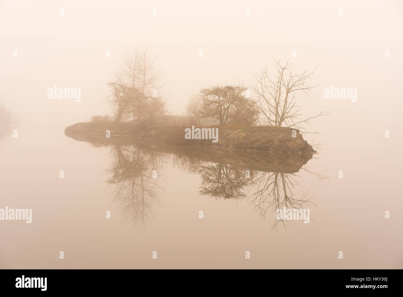 Piccola isola nella nebbia sull'acqua. lago mistico Foto Stock
