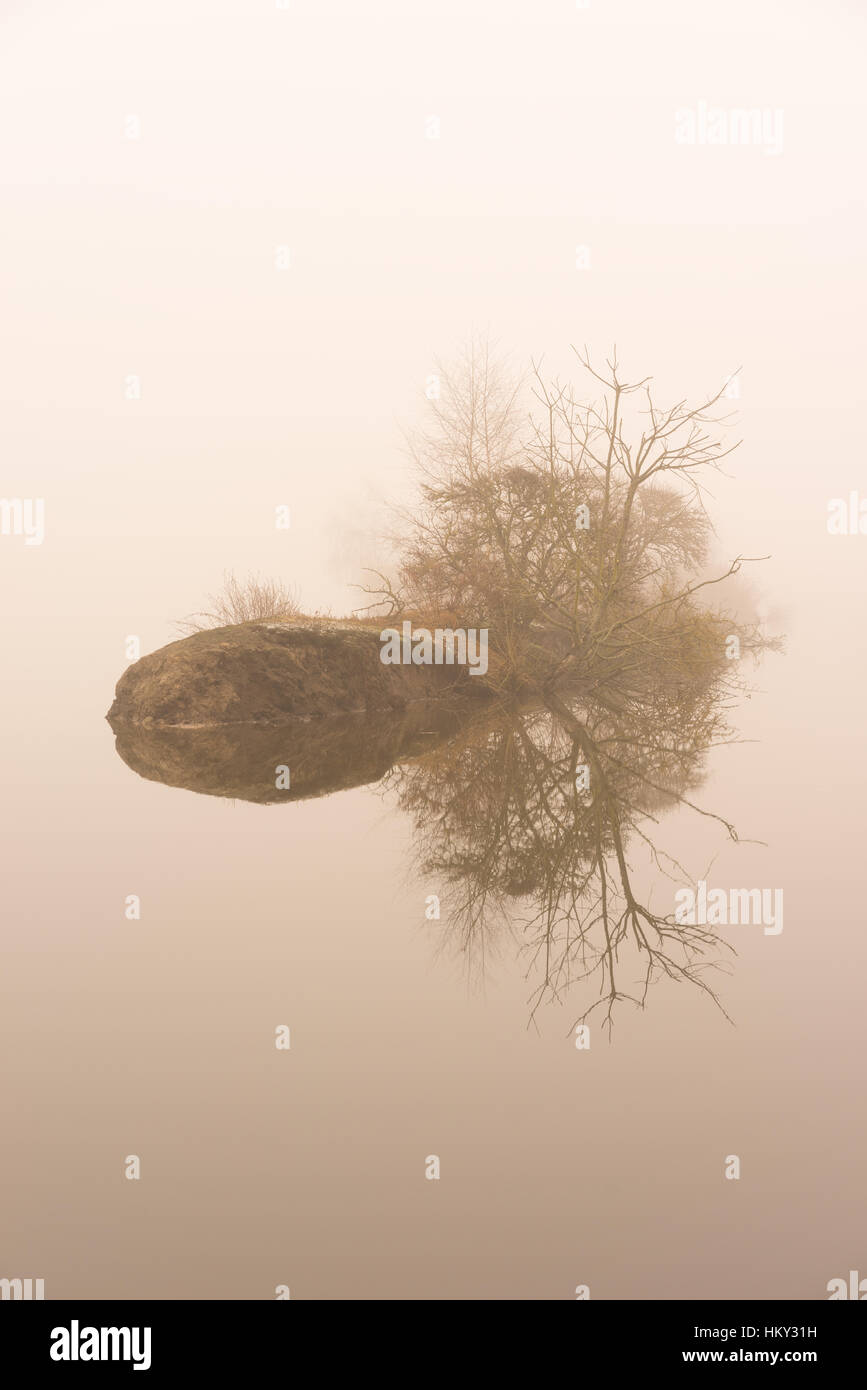 Piccola isola nella nebbia sull'acqua. lago mistico Foto Stock