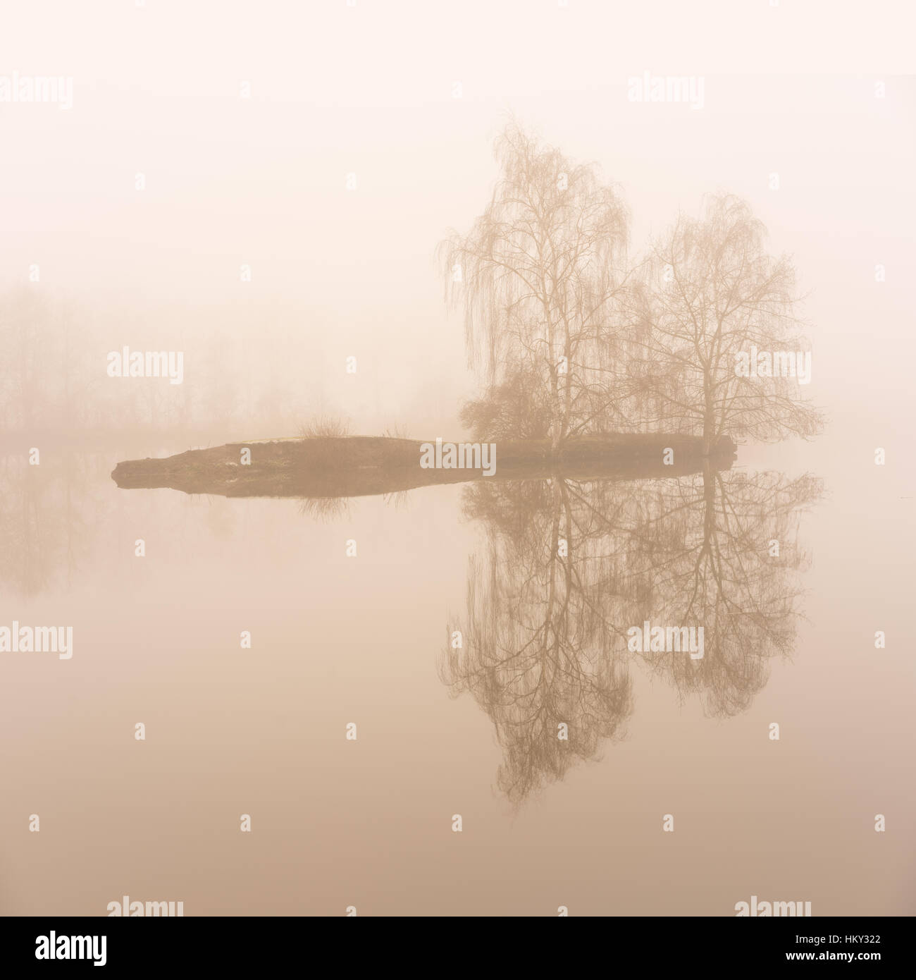 Piccola isola nella nebbia sull'acqua. lago mistico Foto Stock