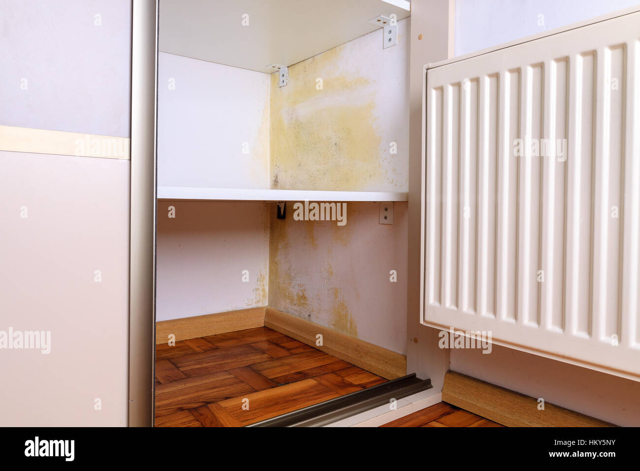 Stampo persistente sulla parete in armadi e scaffali. Riscaldatore pensile vicino all'angolo. Foto Stock