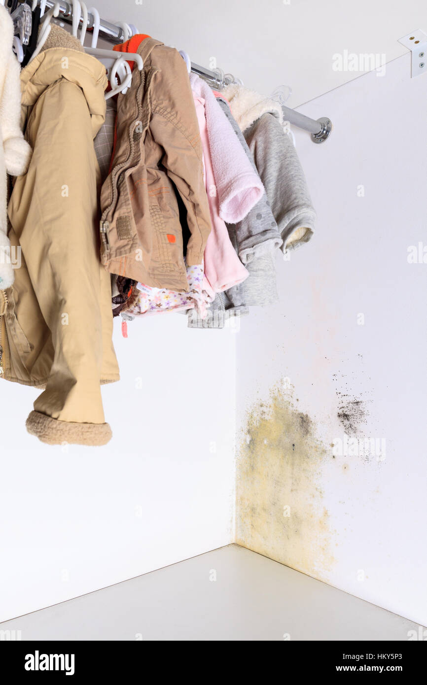 Stampo persistenti in un armadio a muro e ripiani. Appendere i vestiti per bambini sul rack. Foto Stock