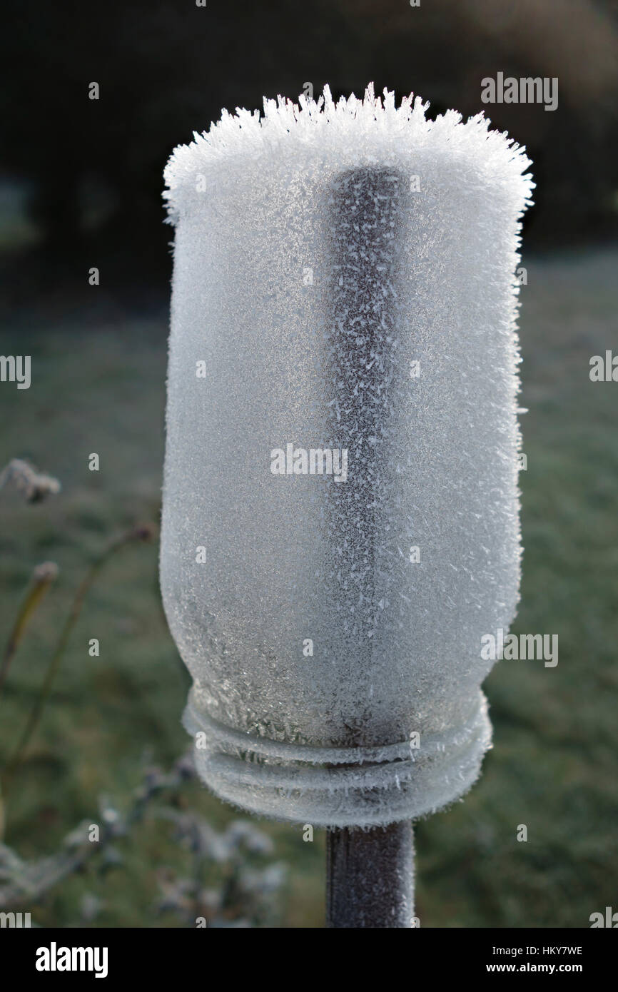 Di avvezione frost (trasformata per forte gradiente gelo, vento la brina o ghiaccio picchi) formata su un vasetto di vetro lasciato per tutta la notte in giardino Foto Stock