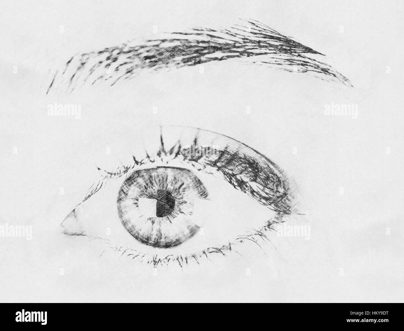 Bianco e Nero Digital Sketch di occhio umano Foto Stock
