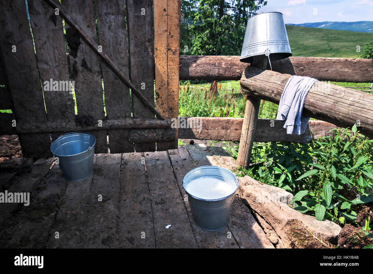 Latte fresco nella benna presso il caseificio di montagne dei Carpazi. Foto Stock