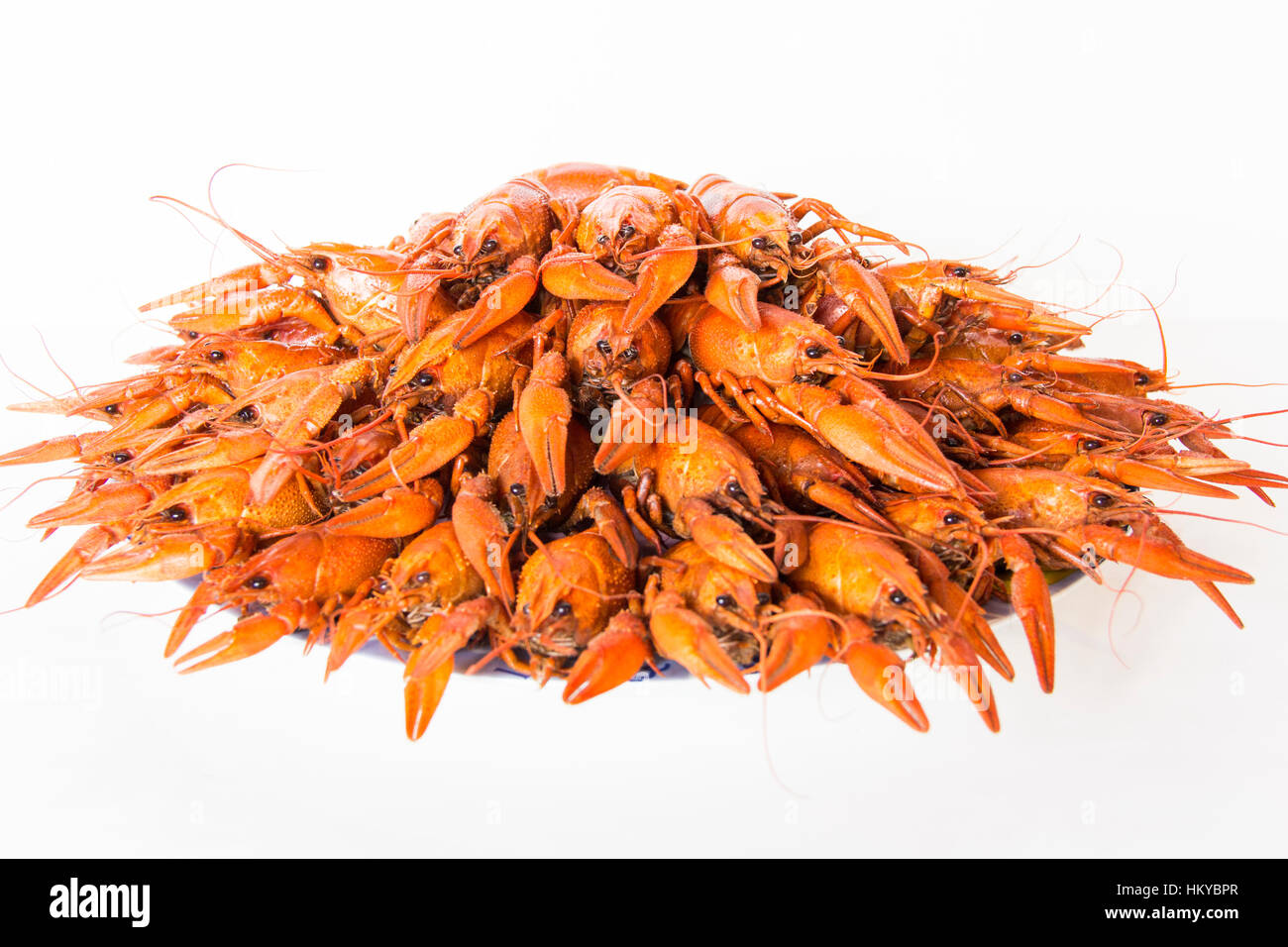Foto di rosso bollito crawfishes sul piatto Foto Stock