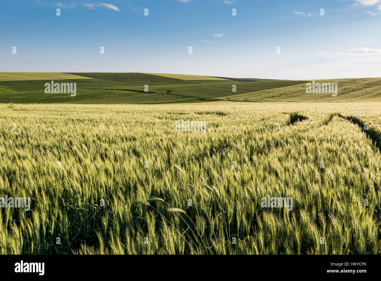 Paesaggio a nord della Bulgaria Foto Stock