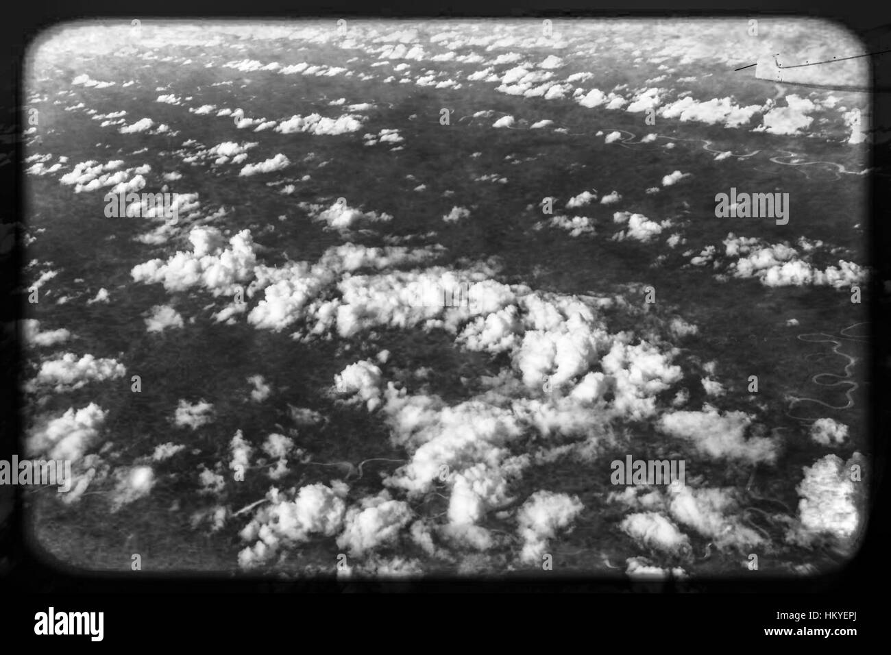 Giungla amazzonica del Perù. Fotografie scattate durante un viaggio nella giungla per la Tambopata National Reserve in Perù 2017. Foto Stock