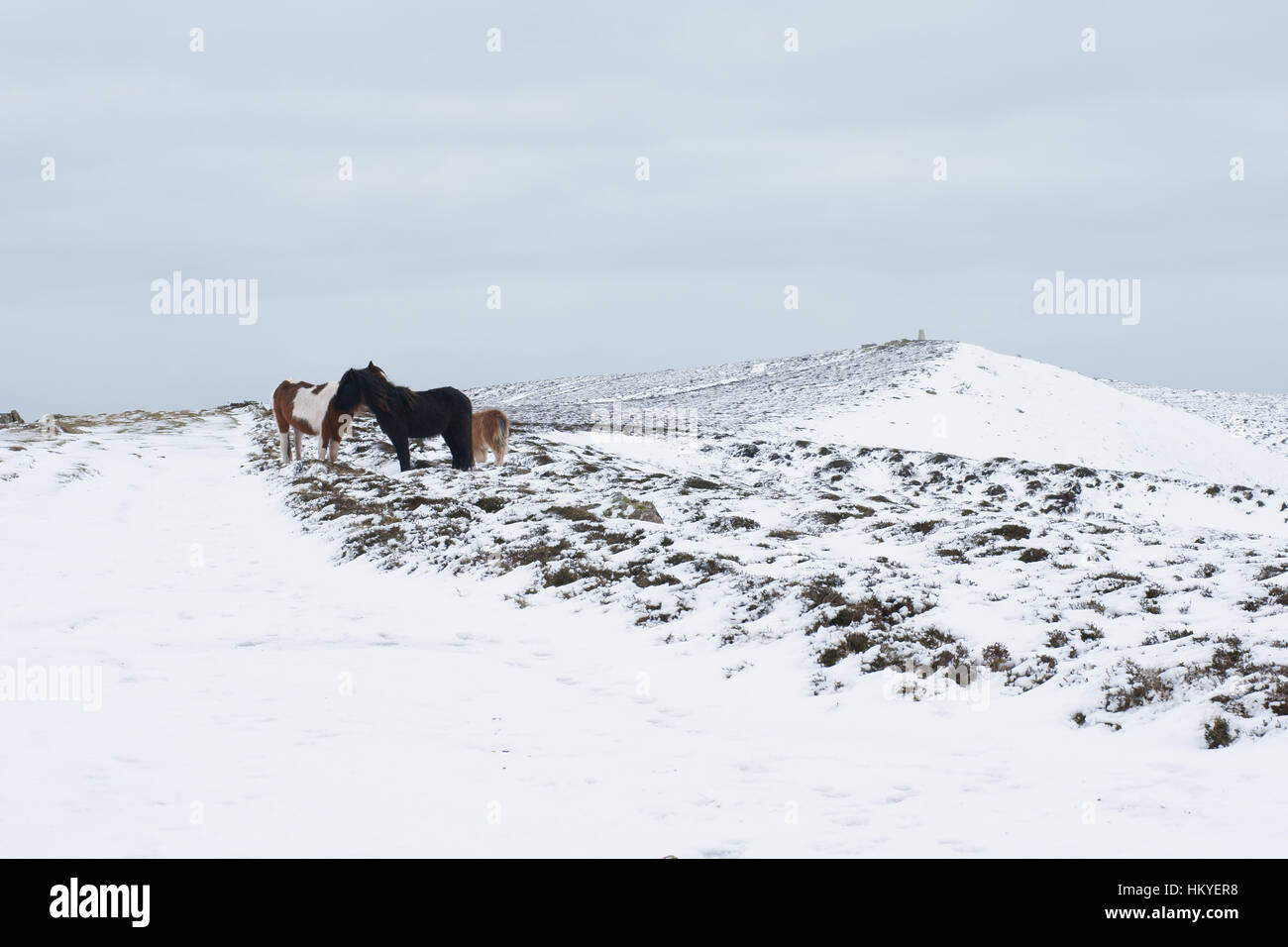 Rhossili giù Foto Stock