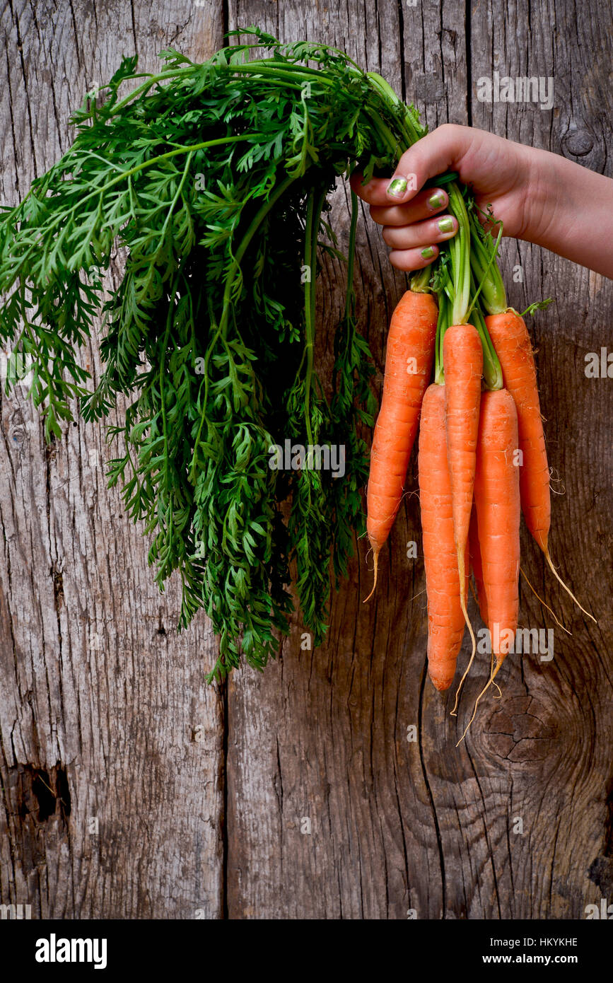 Mano azienda di organico le carote con foglie di colore verde Foto Stock