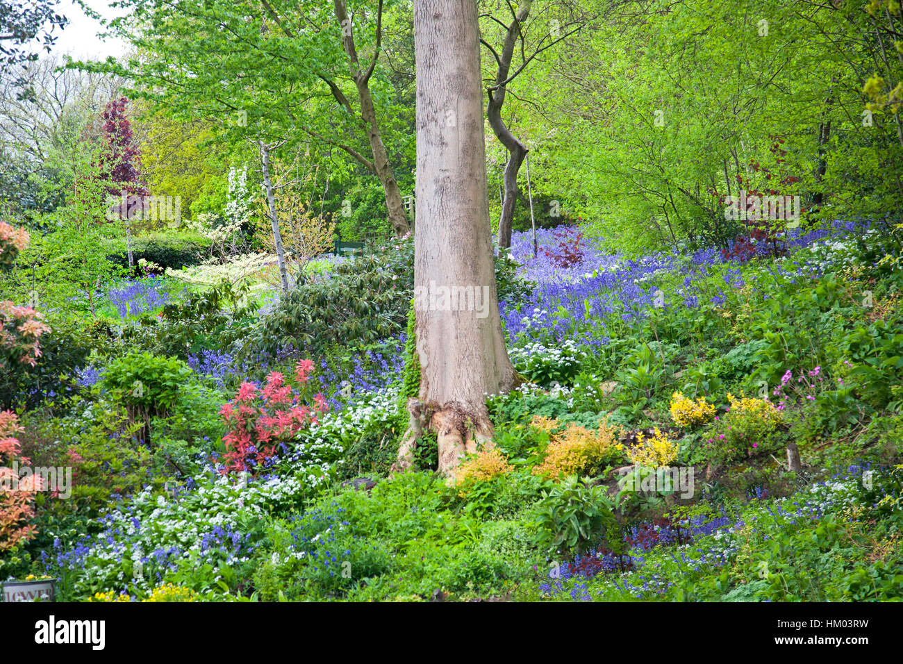 Spring Garden paesaggio Foto Stock