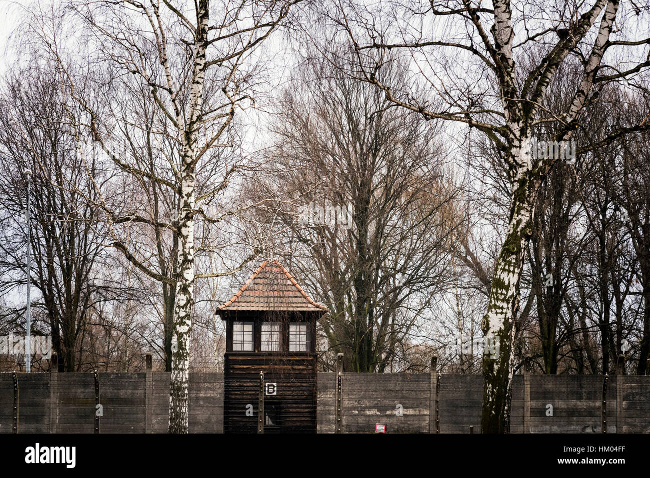 Campo di concentramento di Auschwitz Oswiecim Polonia Foto Stock