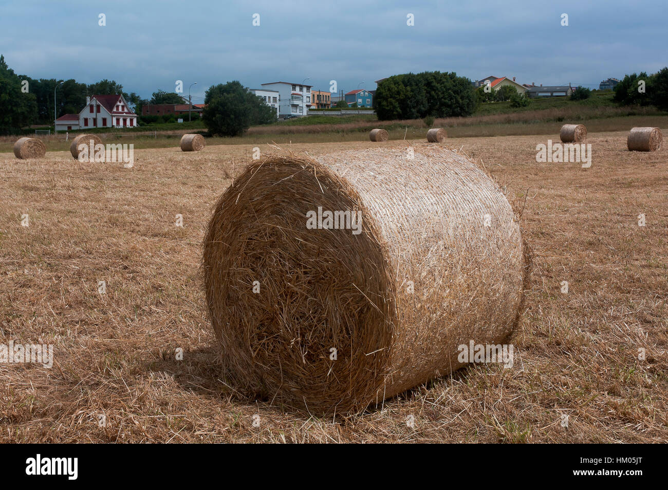 Round balle di paglia, Cedeira, La Coruña provincia, regione della Galizia, Spagna, Europa Foto Stock