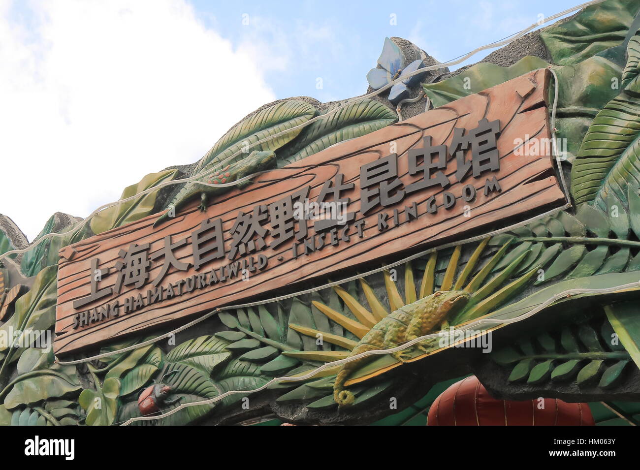 Shanghai naturale e selvaggio regno degli Insetti a Shanghai in Cina. Shanghai naturale e selvaggio regno degli Insetti è un museo di insetti e fauna selvatica. Foto Stock