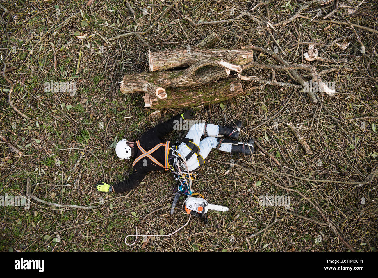 Lumberjack feriti con chainsaw giacente a terra dopo la caduta Foto Stock