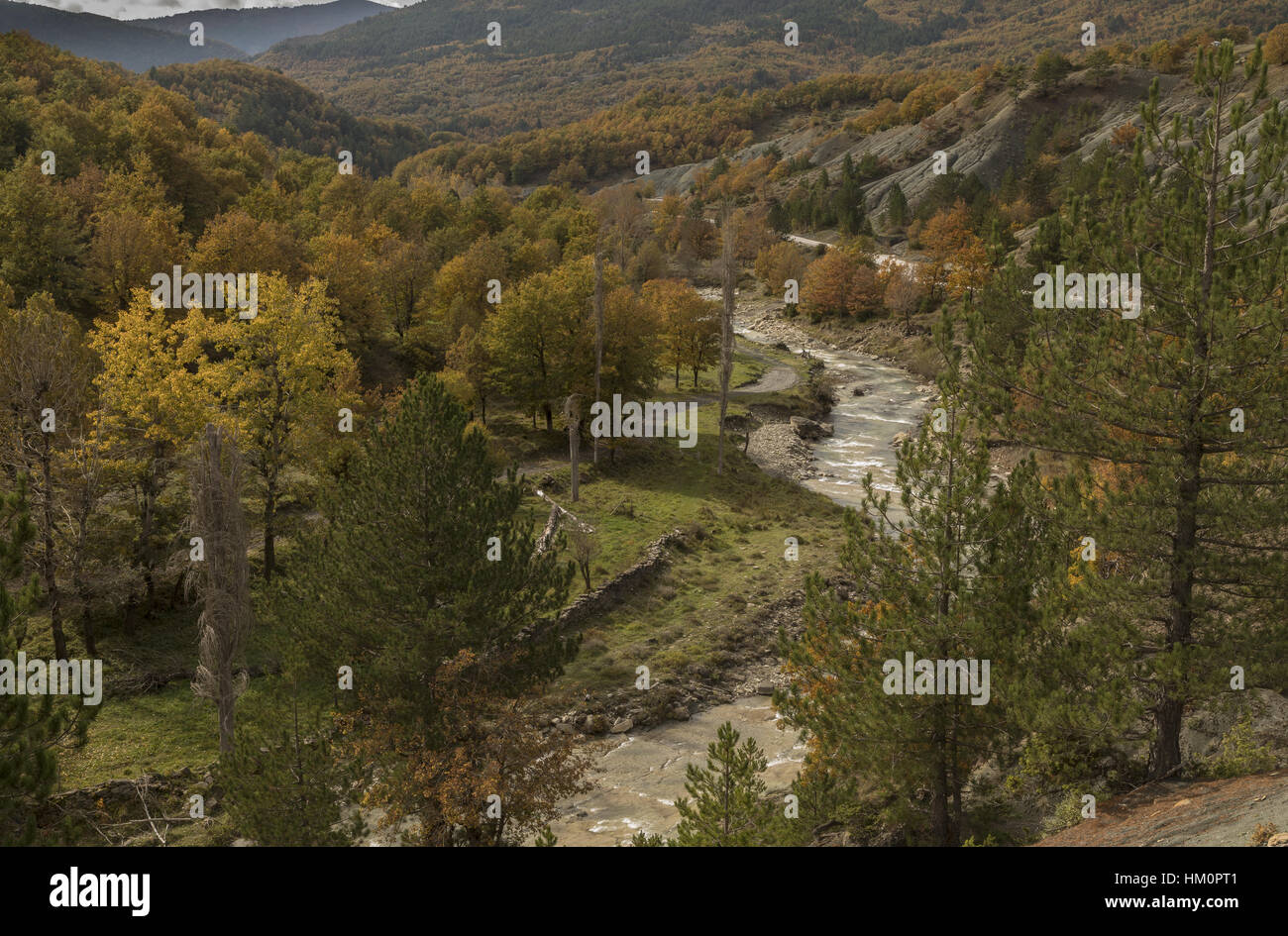 Colore di autunno nella valle Sarantaporos (un affluente del Aoös o Vjosë) nel nord vicino Pindo Kefalochori, Grecia. Foto Stock