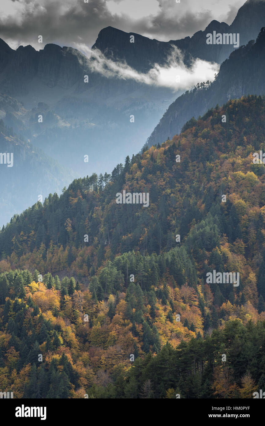 I pendii boscosi di Trapezitsa, in autunno con il Monte Timfi al di là; Vikos-Aoös National Park, Zagoria, Grecia del nord Foto Stock