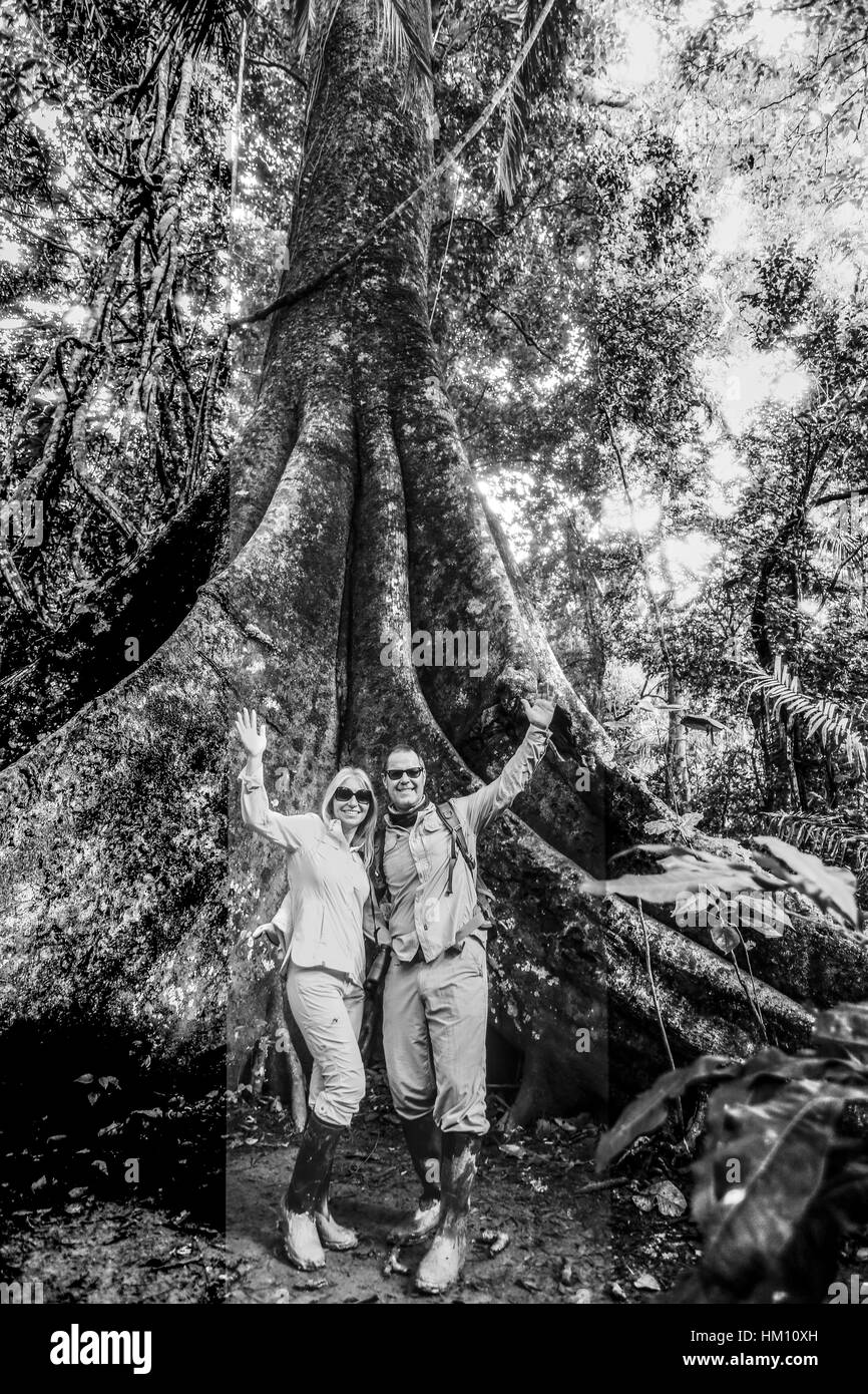Giungla amazzonica del Perù. Fotografie scattate durante un viaggio nella giungla per la Tambopata National Reserve in Perù 2017. Foto Stock