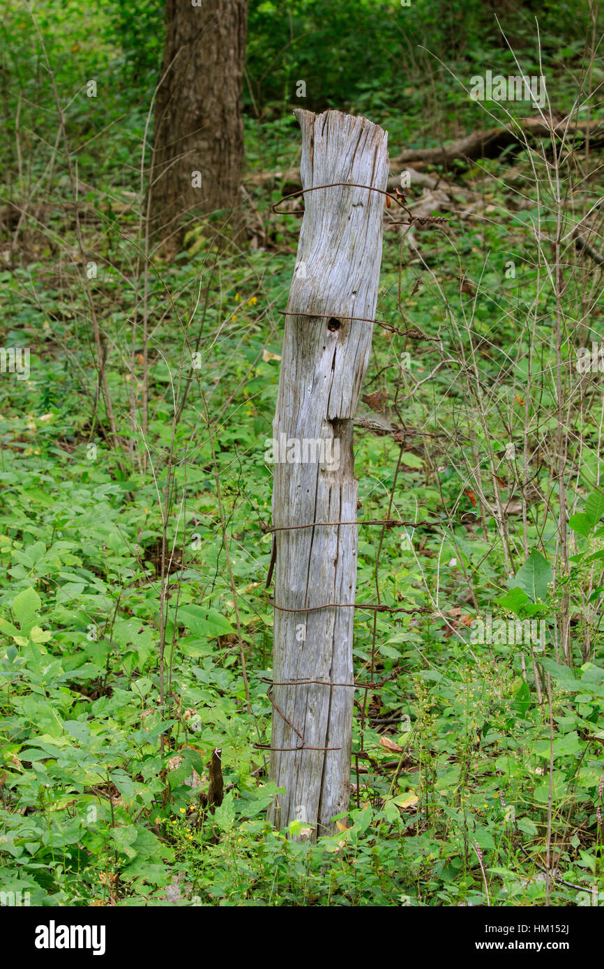 Vecchio palo da recinzione con recinzione arrugginita. Foto Stock