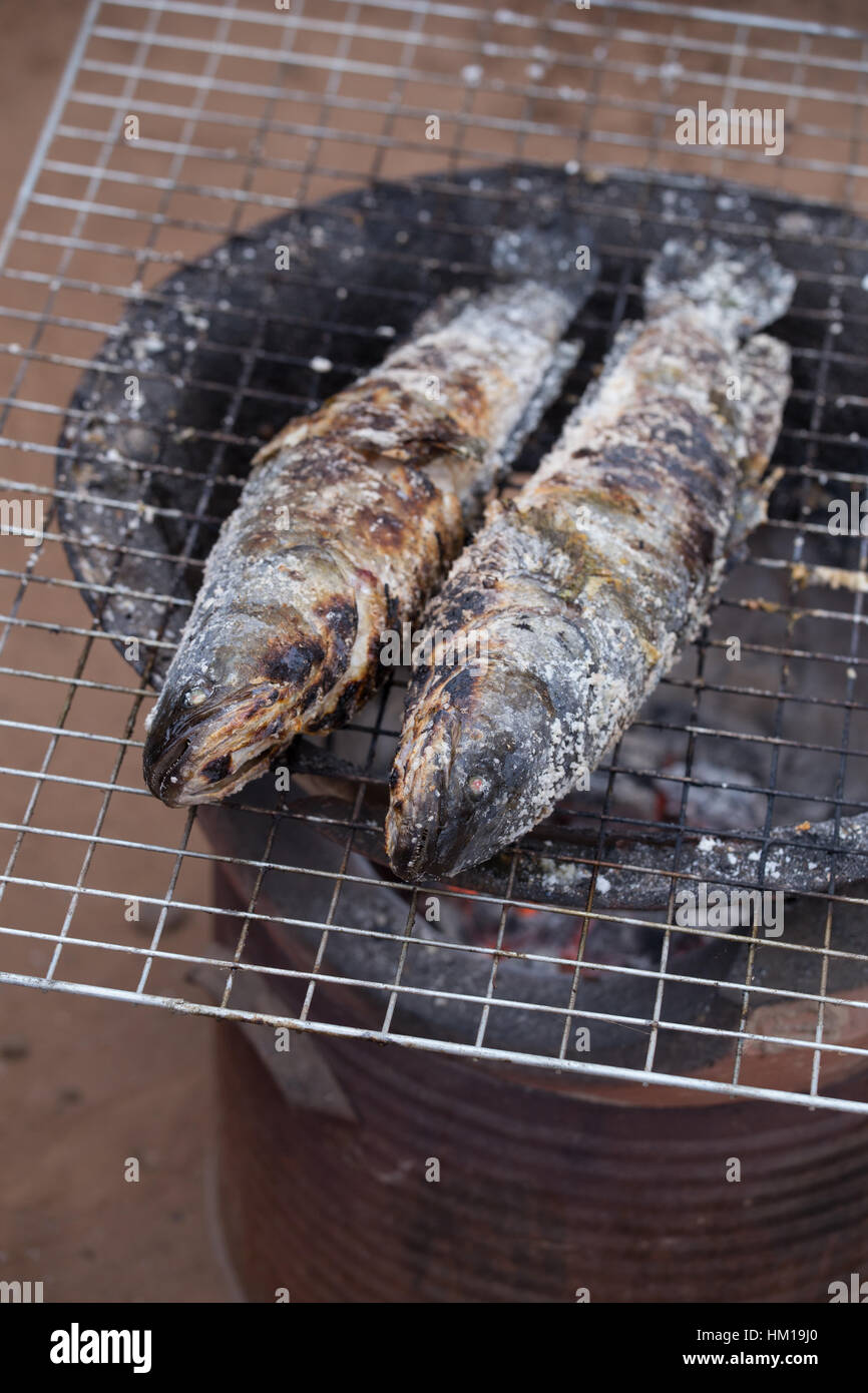 Grill snakehead striato pesce con sale oltre il carbone di legna Foto Stock