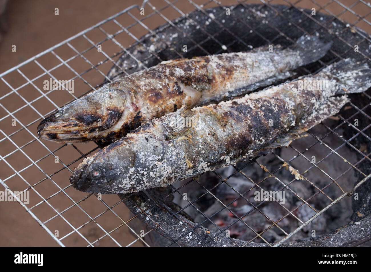 Grill snakehead striato pesce con sale oltre il carbone di legna Foto Stock