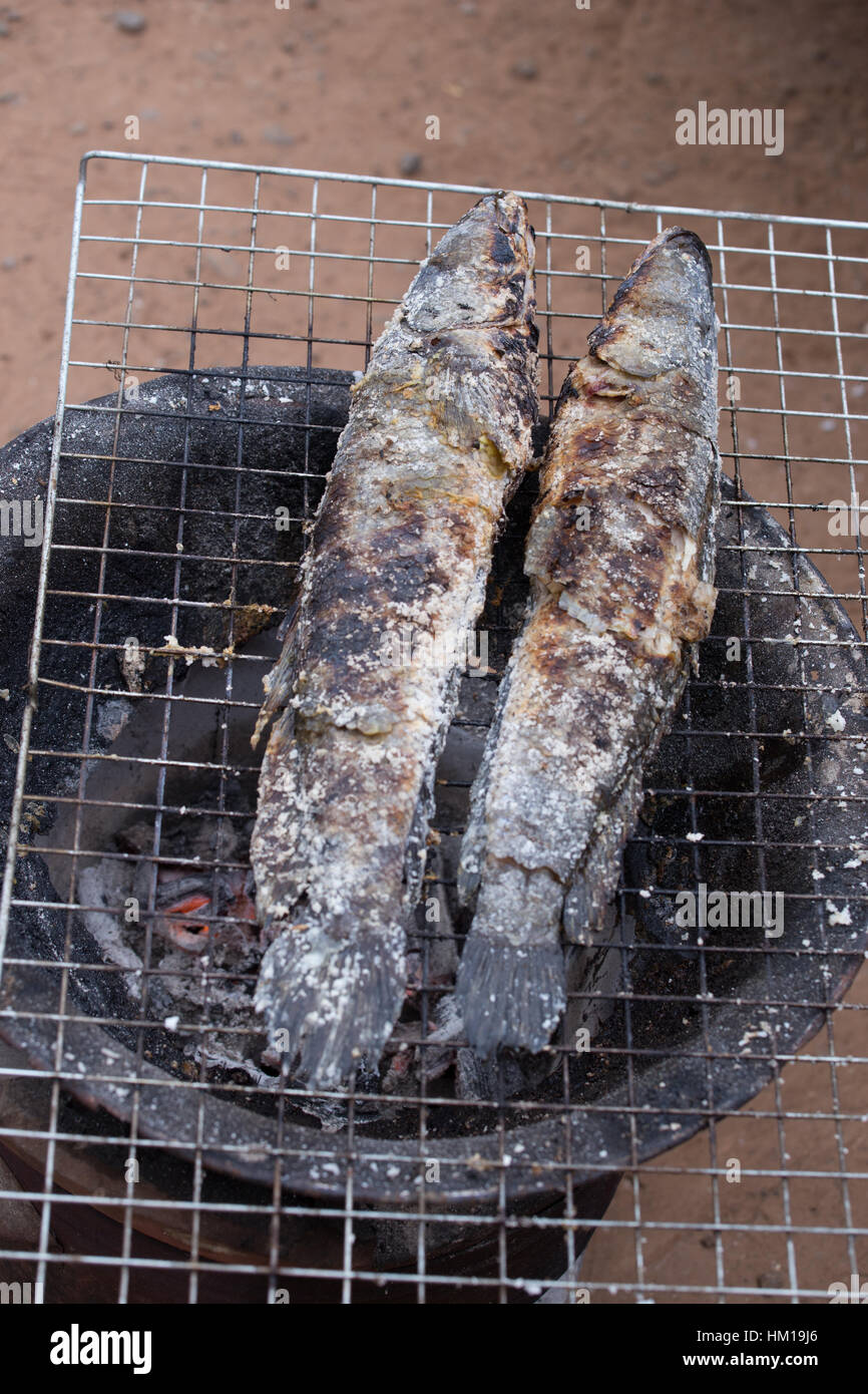 Grill snakehead striato pesce con sale oltre il carbone di legna Foto Stock