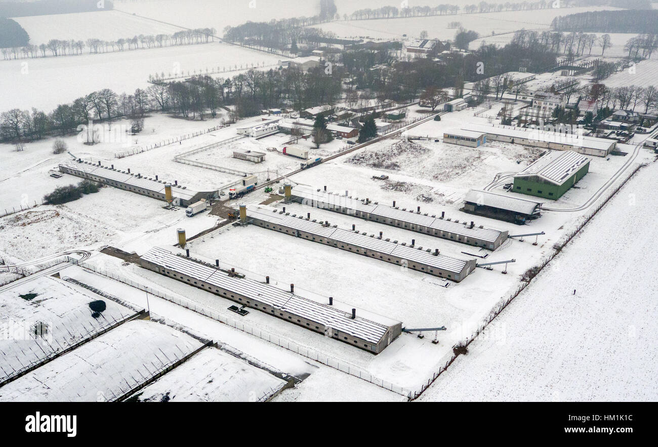 Nelle stalle di una fattoria di gallina in Schwanheide, Germania, paure di sospetta contaminazione con la pericolosa influenza aviaria patogeno H5 sono stati confermati il 31 gennaio 2017. (Foto scattata con un drone). Tutti i 106.000 galline deve ora essere macellati. Ci vorranno due giorni fino a quando gli uccelli sono uccisi nelle loro stalle con biossido di carbonio. Si tratta della più grave epidemia di influenza aviaria finora nel nord-est della Germania questo inverno. Foto: Jens Büttner/dpa-Zentralbild/dpa Foto Stock