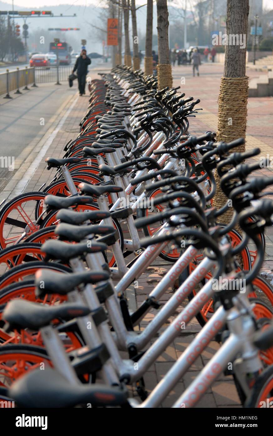 Jinan, Cina. Il 1° febbraio 2017. Bici per la condivisione sono visti di Jinan, a est della capitale cinese della provincia dello Shandong. Più di 11.000 biciclette di un internet bike sharing system sono stati messi in uso di Jinan di recente. Credito: Zhu Zheng/Xinhua/Alamy Live News Foto Stock